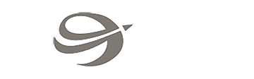 Denver Airport DEN logo