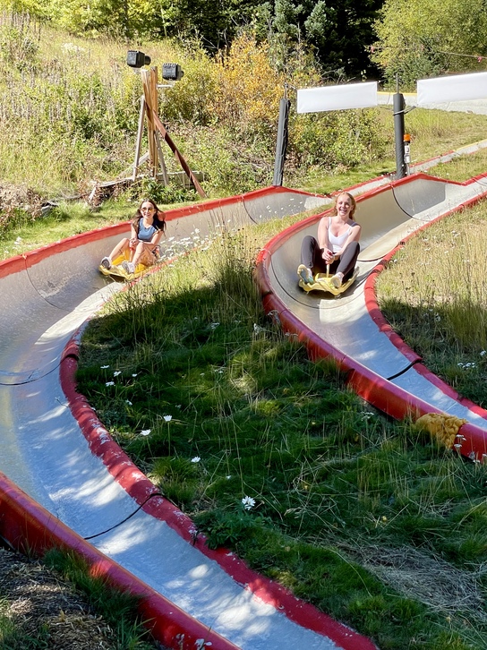 Alpine slide